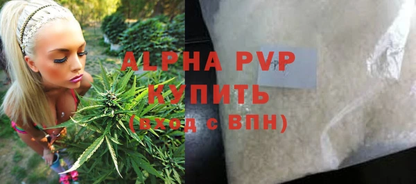 индика Богданович