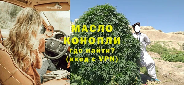 индика Богданович